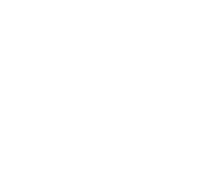 ANNEIDE