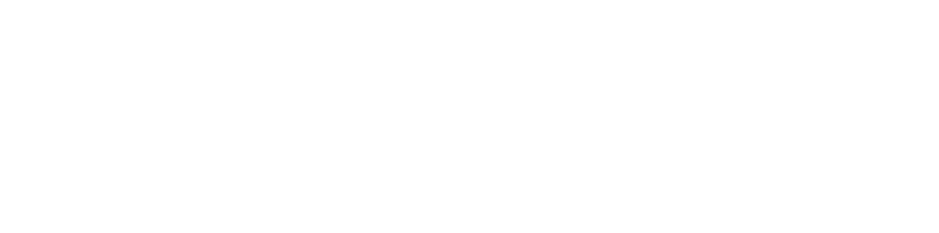 webIQ Business Solutions